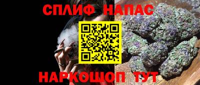 гашик Гагарин