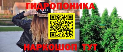 гашик Гагарин