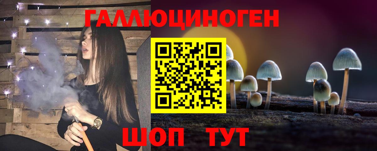 Галлюциногенные грибы прущие грибы  Вход с VPN  Мыски 
